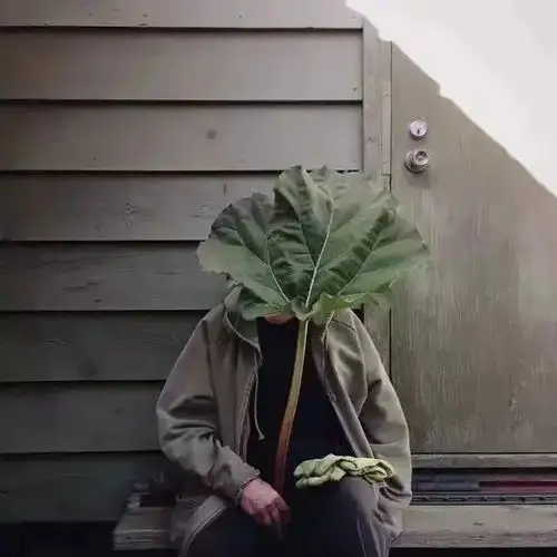 欧美系列男头.愿你熬过万丈孤独藏下星辰大海