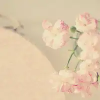 淡雅唯美个性qq头像