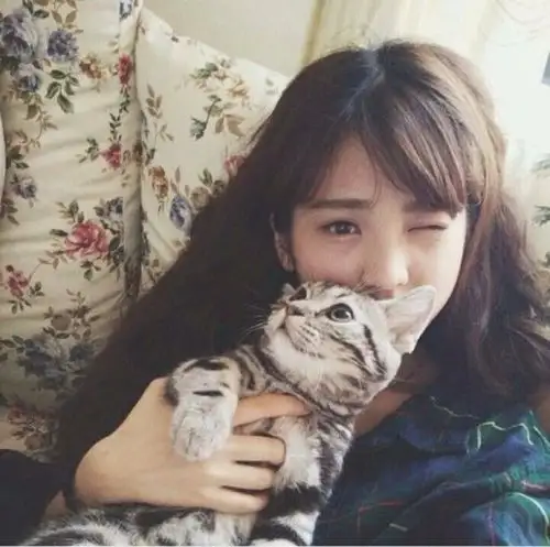 国庆假期把猫独自放家,回来后猫咪竟这样...