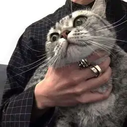 求这张图的高清原图谢谢