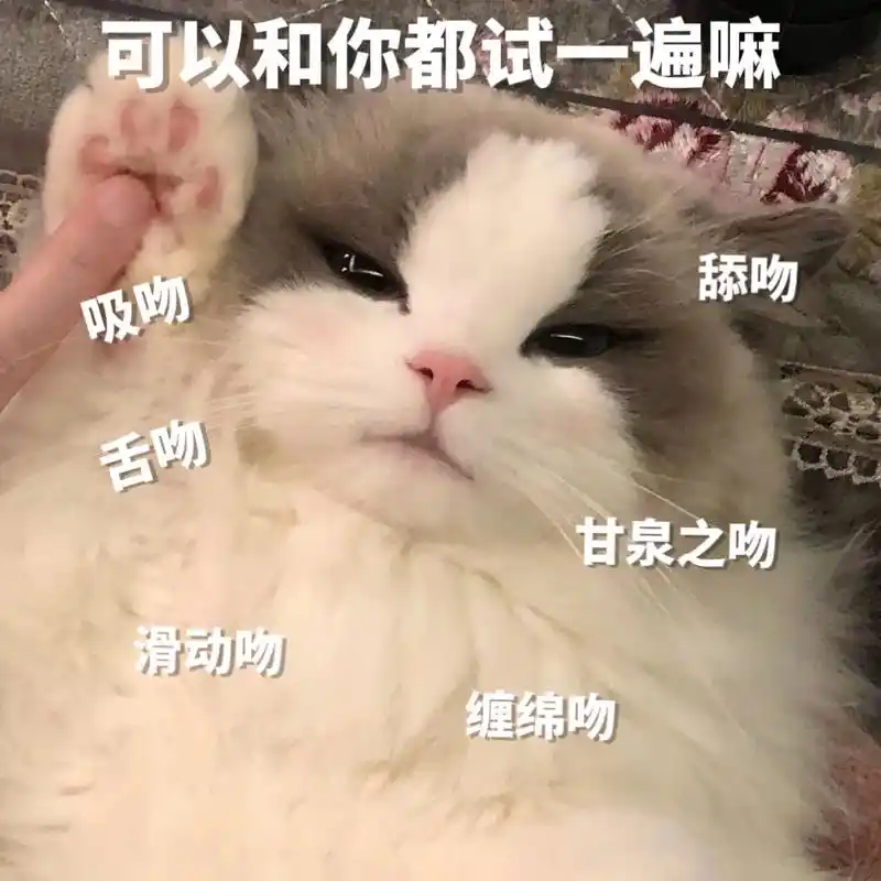 原来有这么多吻法,宝宝愿意和我一个一个试吗?#猫咪表情包#-抖音