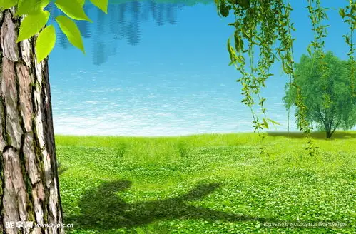 韩式自然背景设计图