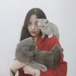 杀手有了感情,早就不酷了