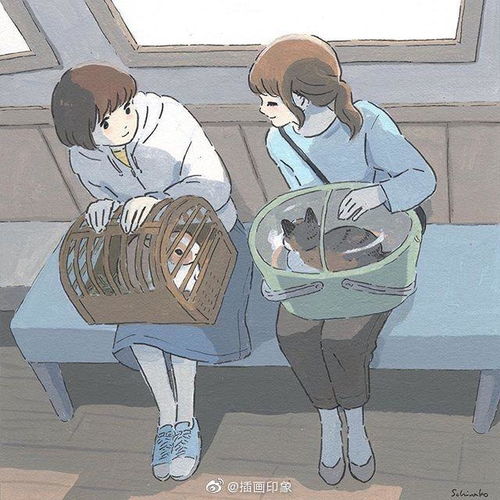 非诚勿扰活动回顾