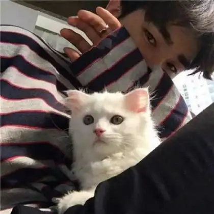 男生抱猫头像真人,喜欢猫咪的男生有点意思